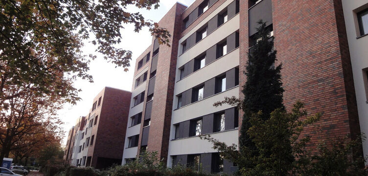 BOR 01